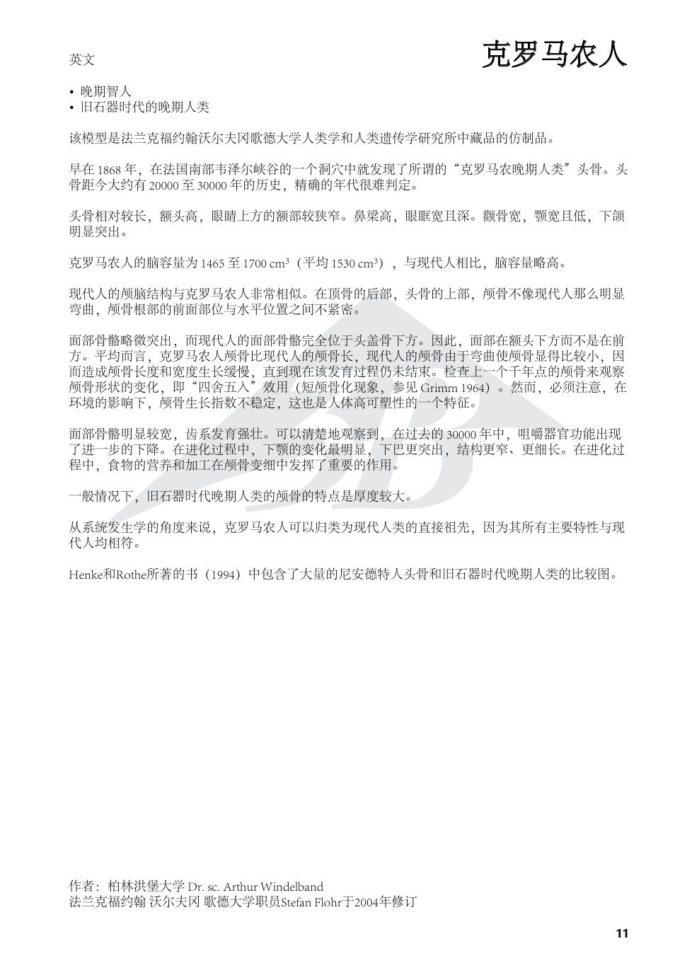 克罗马农人 | 3B Scientific Anthropological Skull Model - Cro-Magnon User Manual | Page 11 / 16
