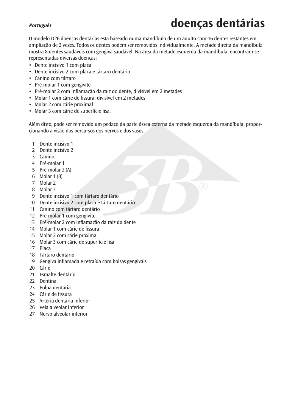 Doenças dentárias | 3B Scientific Dental disease, magnified 2 times, 21 parts User Manual | Page 13 / 16