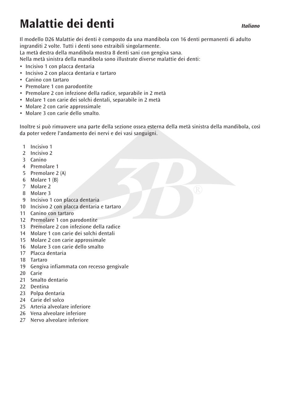 Malattie dei denti | 3B Scientific Dental disease, magnified 2 times, 21 parts User Manual | Page 14 / 16