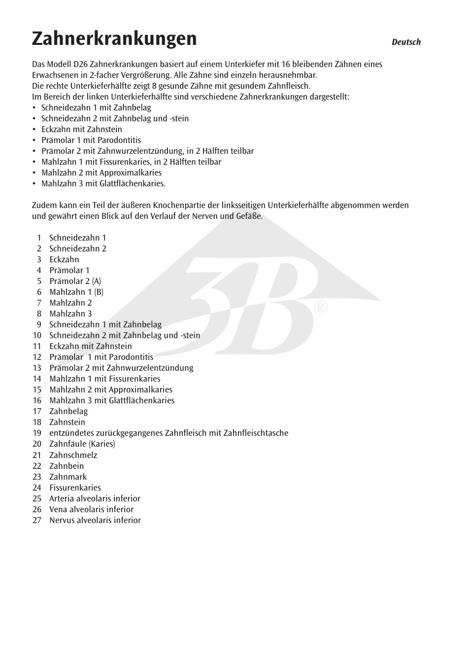 Zahnerkrankungen | 3B Scientific Dental disease, magnified 2 times, 21 parts User Manual | Page 4 / 16