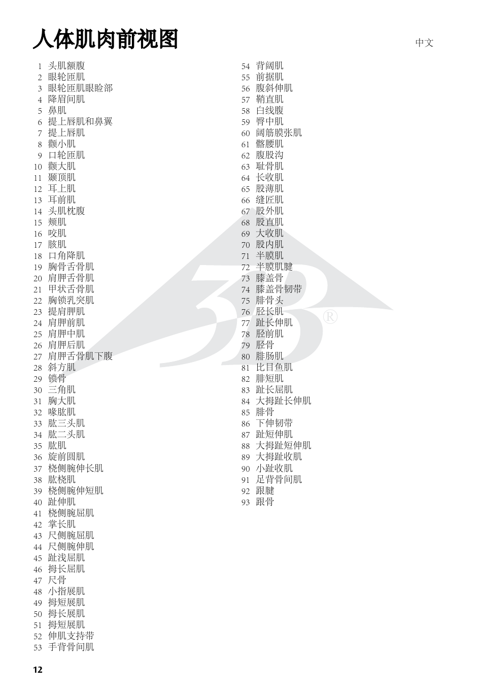 人体肌肉前视图 | 3B Scientific The Human Musculature Chart, front User Manual | Page 12 / 13