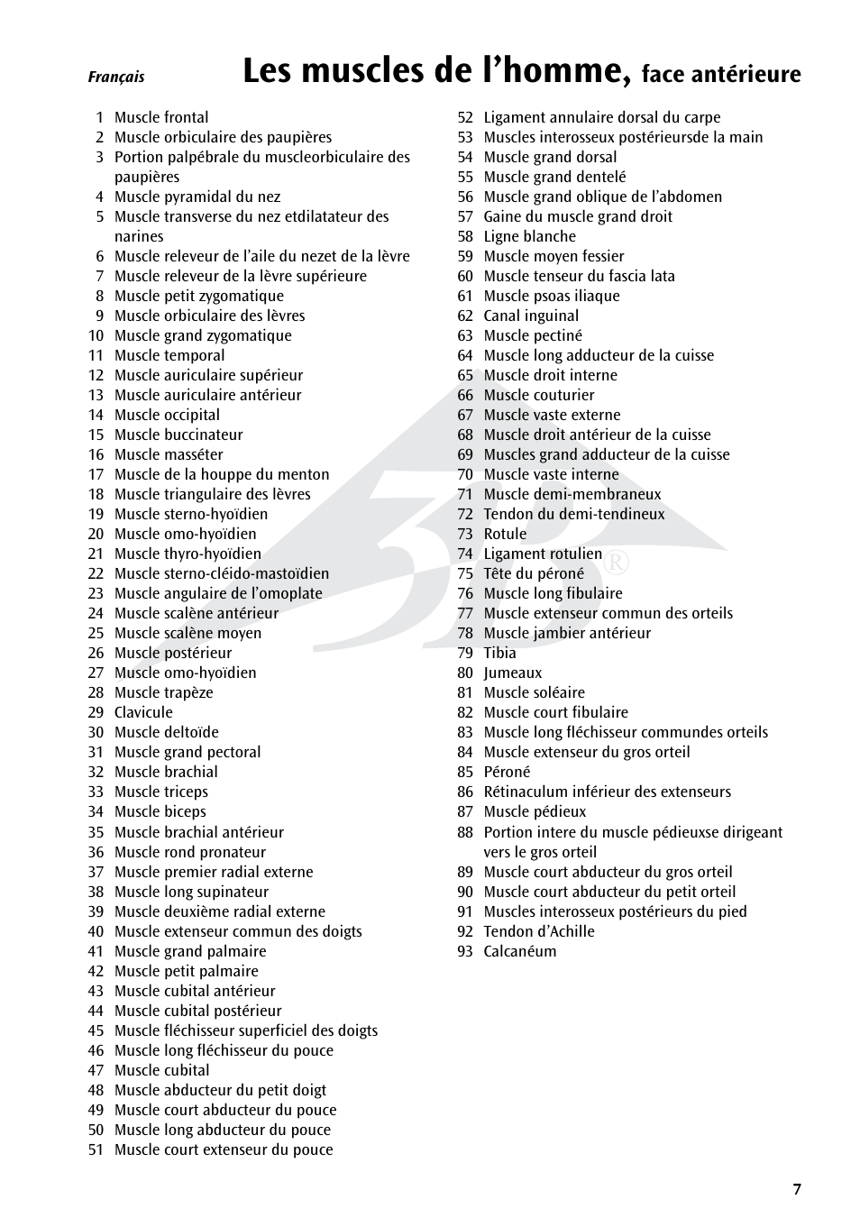 Les muscles de l’homme, Face antérieure | 3B Scientific The Human Musculature Chart, front User Manual | Page 7 / 13