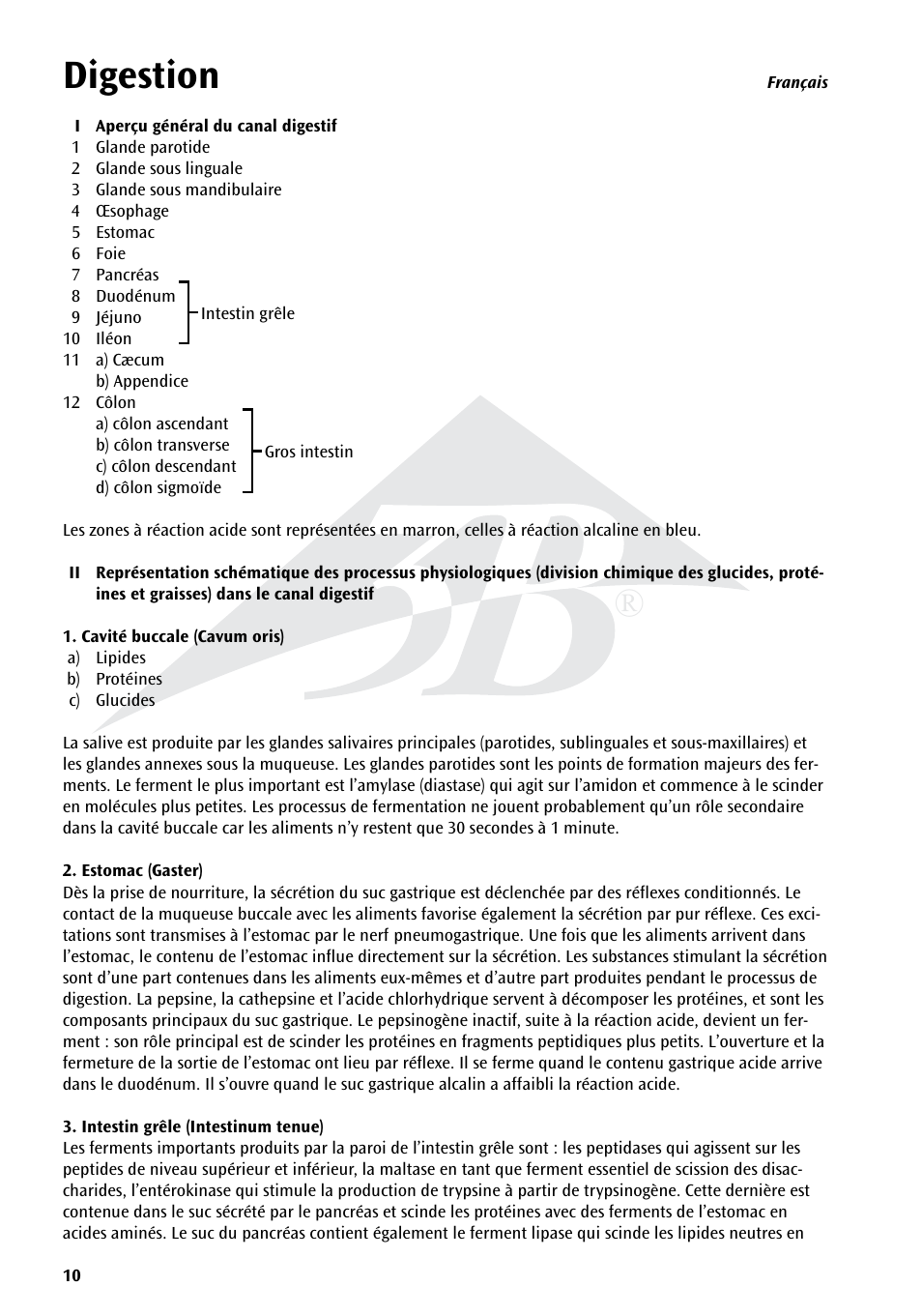 Digestion | 3B Scientific The Digestive System Chart User Manual | Page 10 / 24