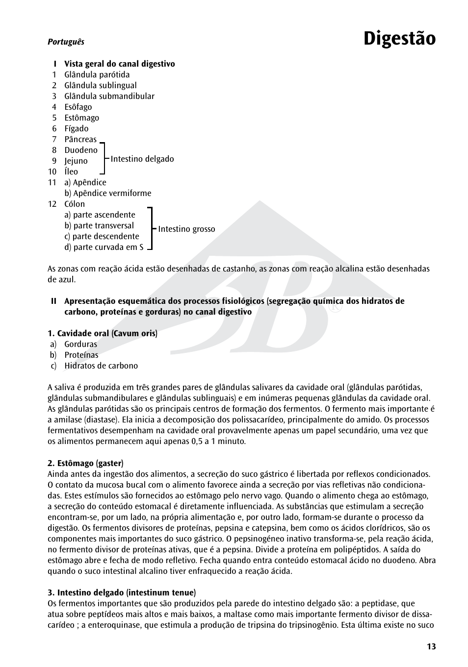Digestão | 3B Scientific The Digestive System Chart User Manual | Page 13 / 24
