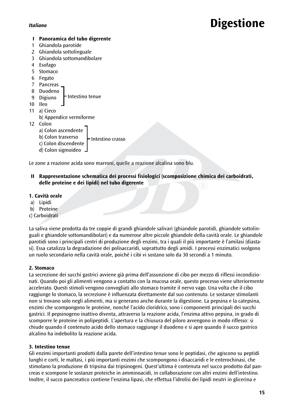 Digestione | 3B Scientific The Digestive System Chart User Manual | Page 15 / 24