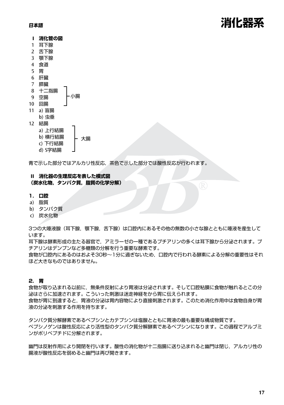 消化器系 | 3B Scientific The Digestive System Chart User Manual | Page 17 / 24