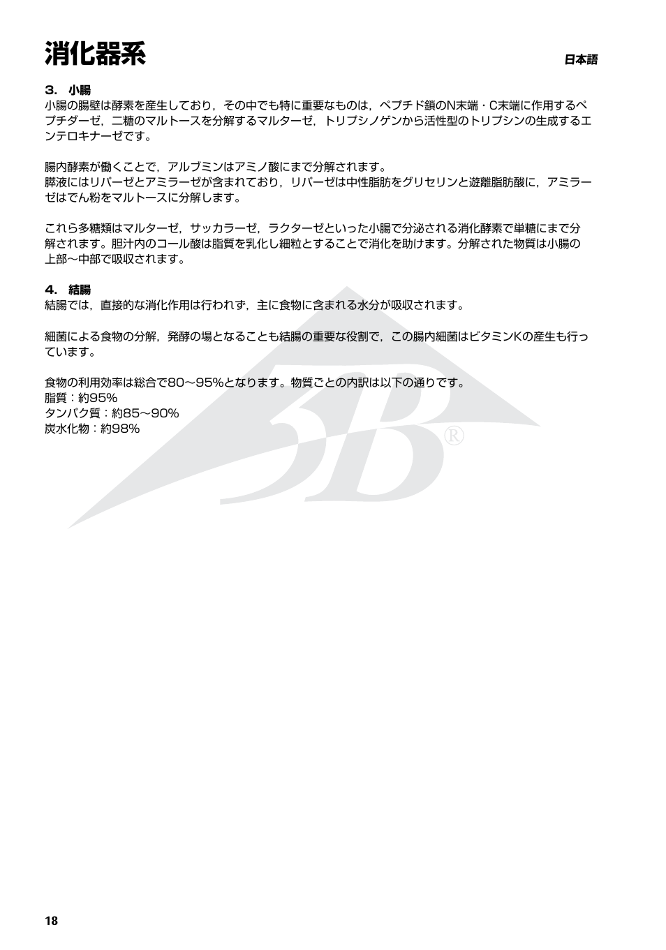 消化器系 | 3B Scientific The Digestive System Chart User Manual | Page 18 / 24