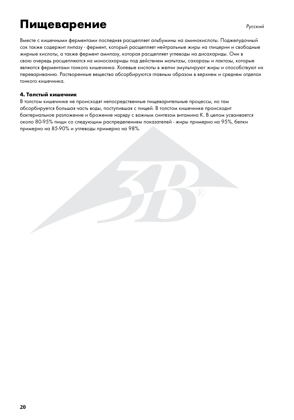 Пищеварение | 3B Scientific The Digestive System Chart User Manual | Page 20 / 24