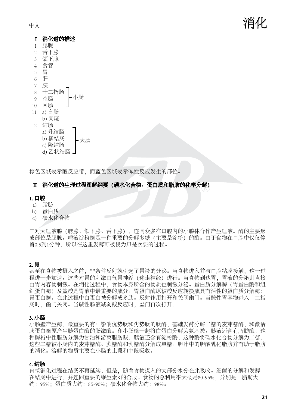 3B Scientific The Digestive System Chart User Manual | Page 21 / 24