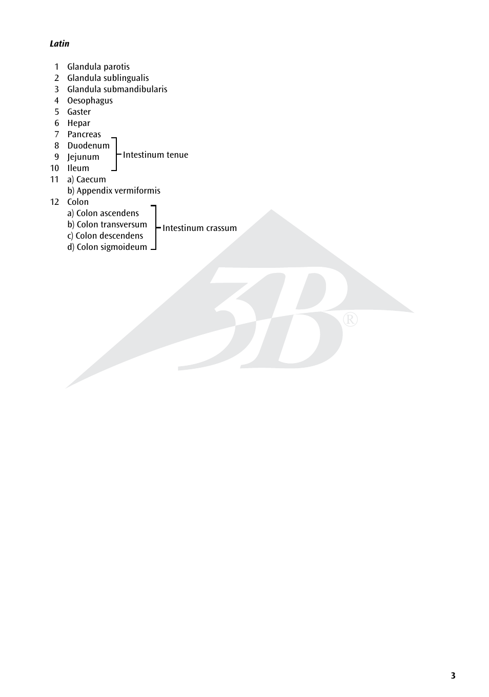 3B Scientific The Digestive System Chart User Manual | Page 3 / 24