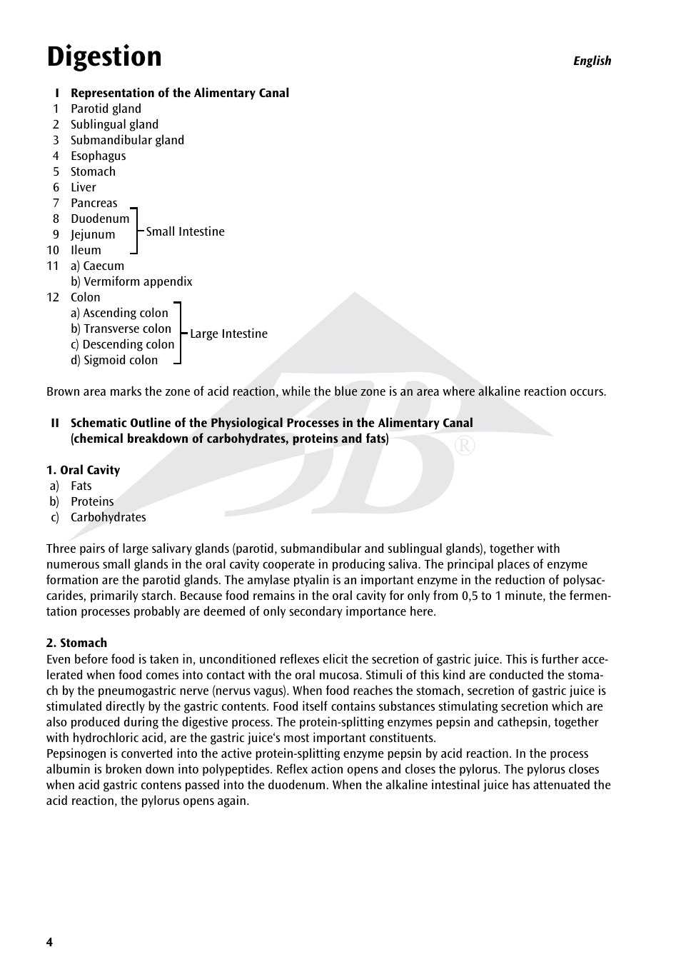 Digestion | 3B Scientific The Digestive System Chart User Manual | Page 4 / 24