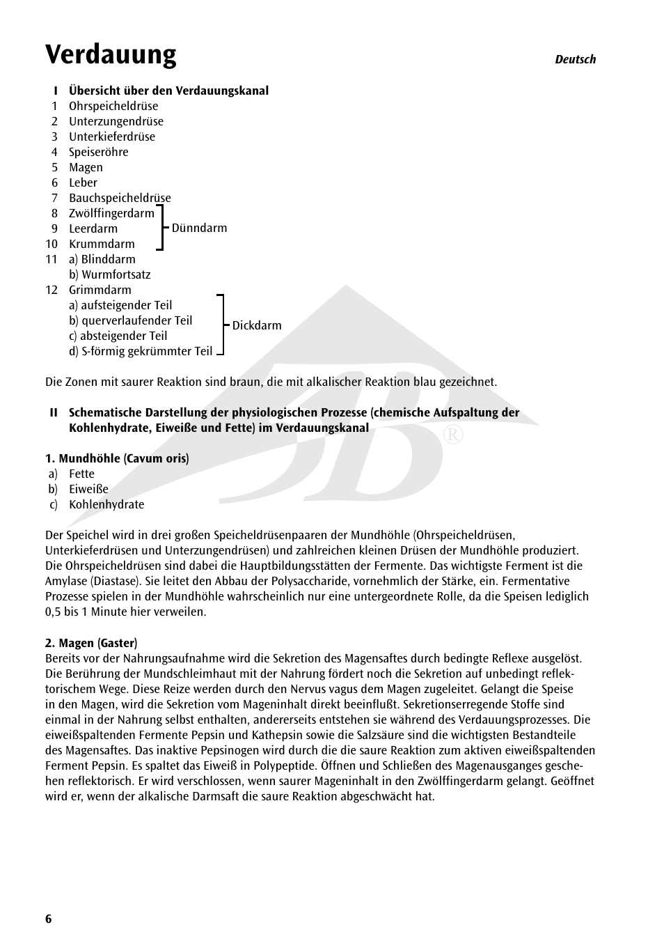 Verdauung | 3B Scientific The Digestive System Chart User Manual | Page 6 / 24
