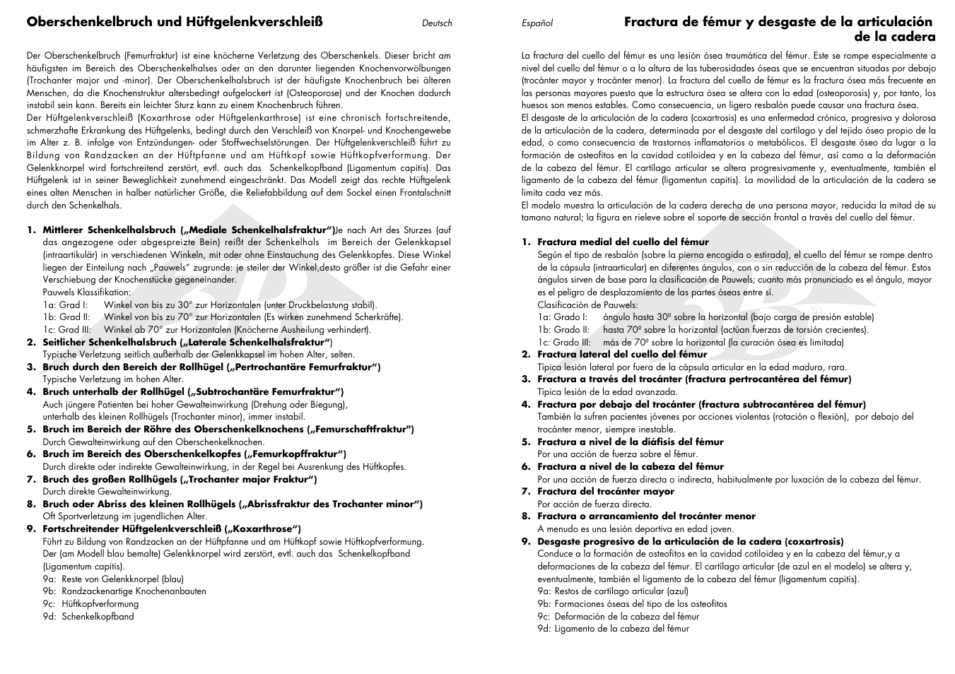 3B Scientific Femoral Fracture and Hip Osteoarthritis User Manual | Page 3 / 7