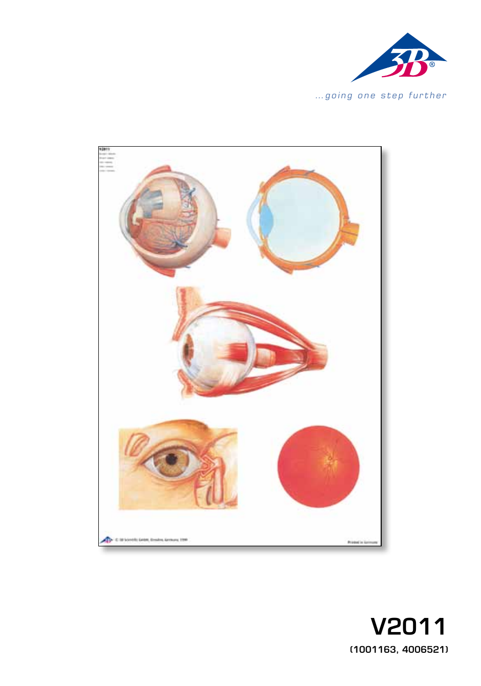 3B Scientific The Eye I Chart, Anatomy User Manual | 12 pages