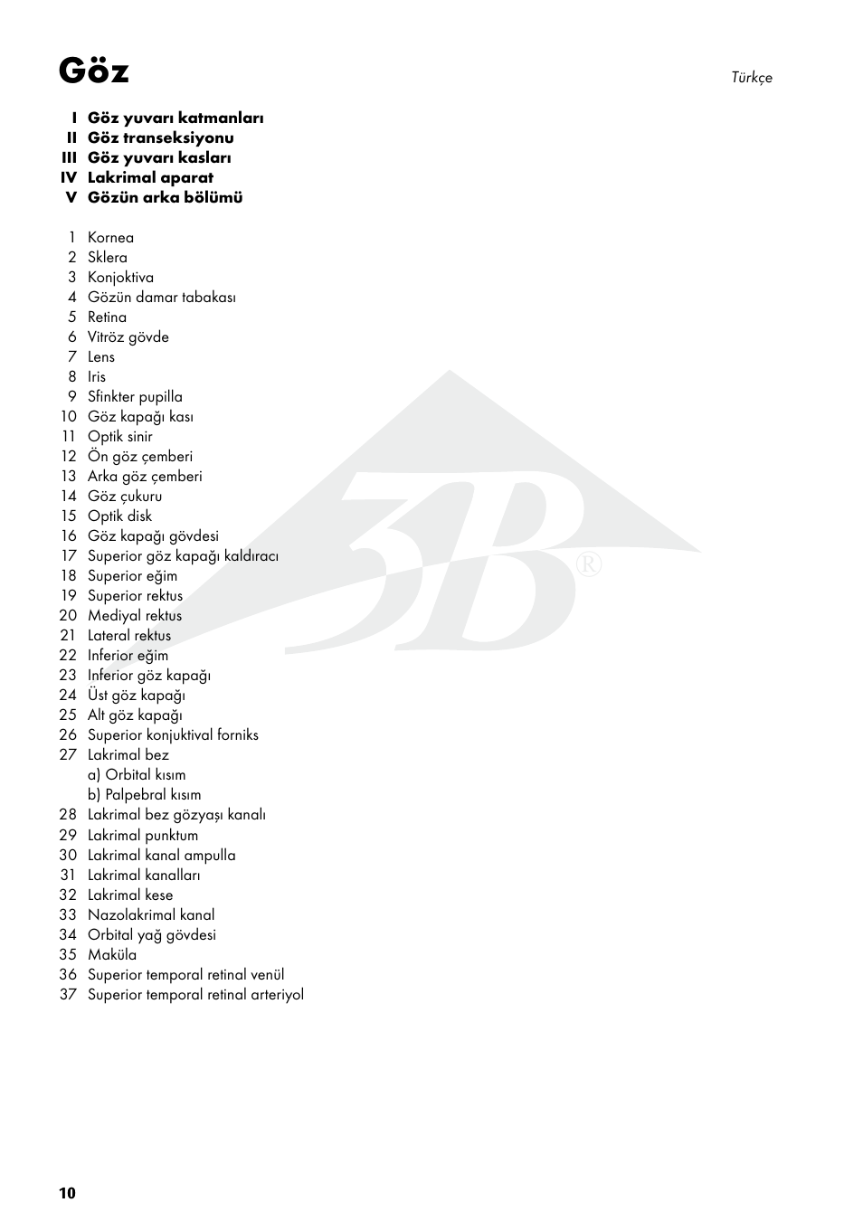 3B Scientific The Eye I Chart, Anatomy User Manual | Page 10 / 12