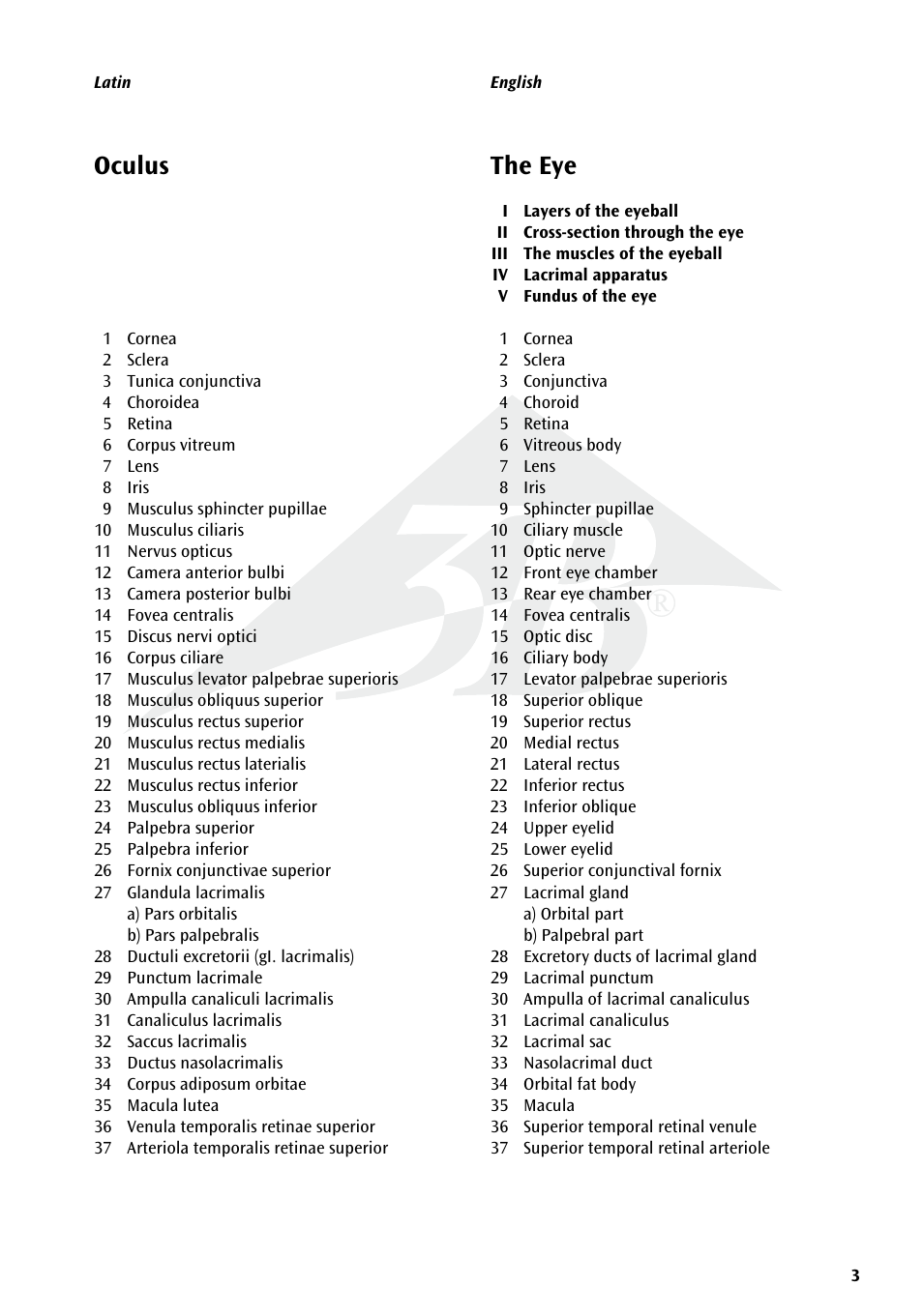 3B Scientific The Eye I Chart, Anatomy User Manual | Page 3 / 12