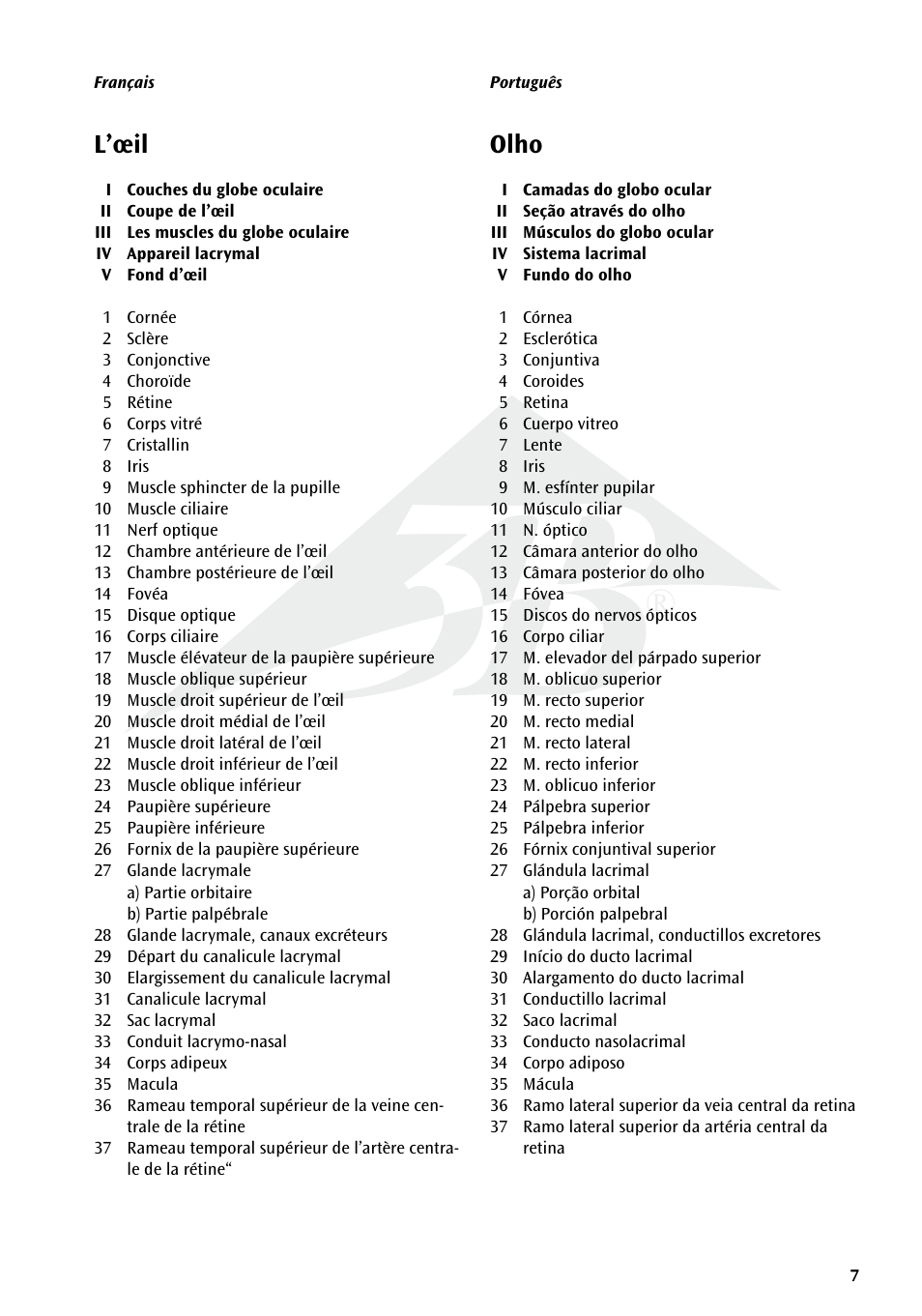 L’œil, Olho | 3B Scientific The Eye I Chart, Anatomy User Manual | Page 7 / 12