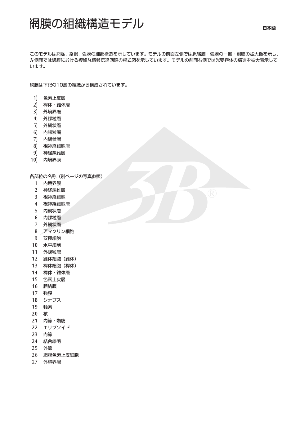 3B Scientific 3B MICROanatomy™ Eye User Manual | Page 13 / 16