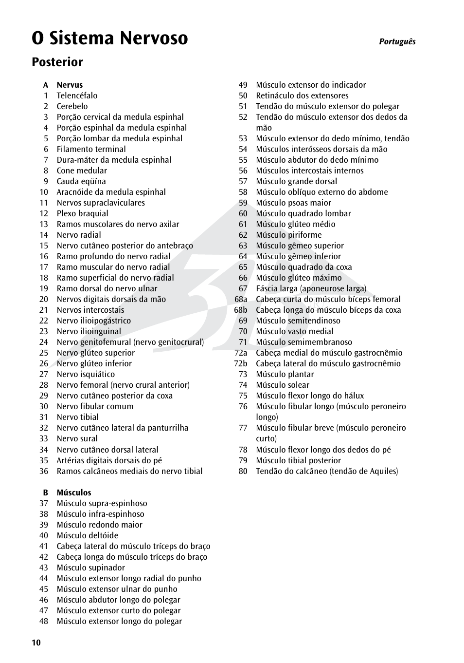 O sistema nervoso, Posterior | 3B Scientific The Nervous System Chart, rear User Manual | Page 10 / 16