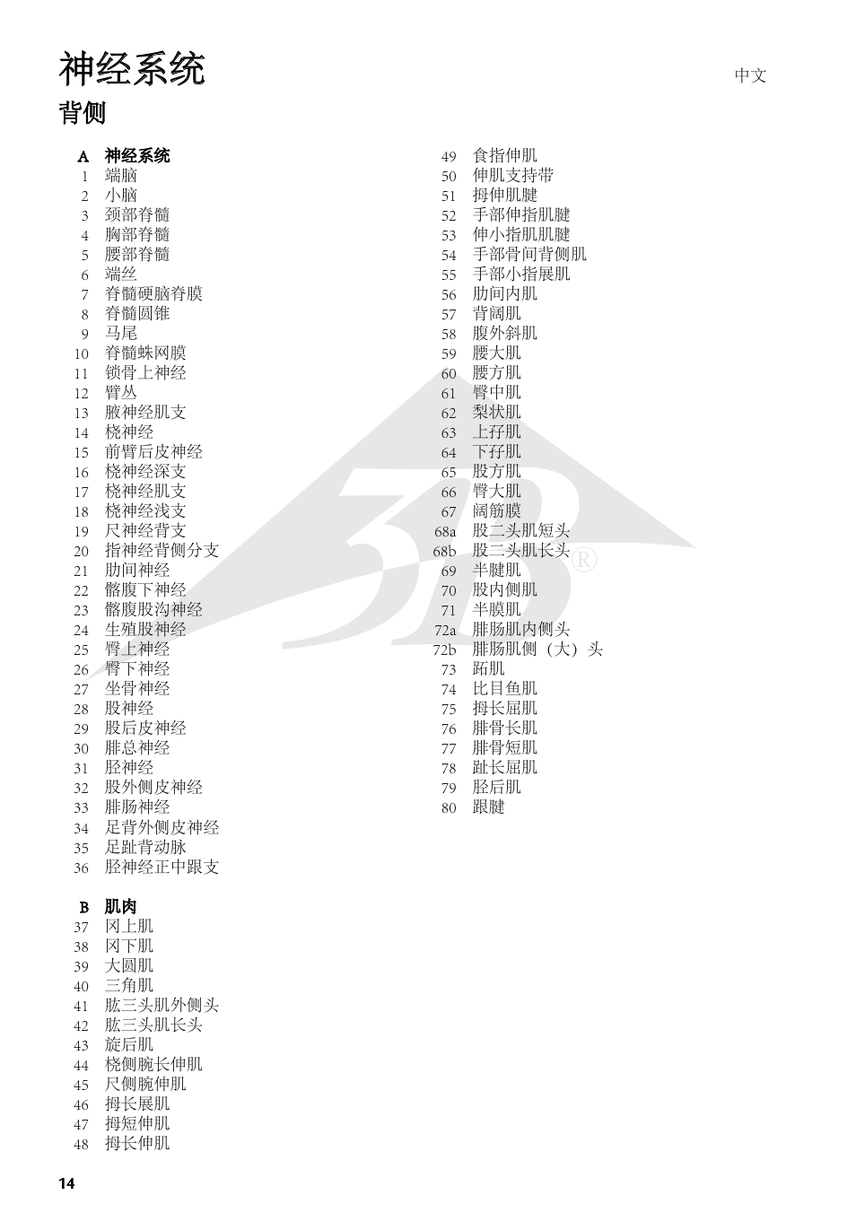 神经系统 | 3B Scientific The Nervous System Chart, rear User Manual | Page 14 / 16