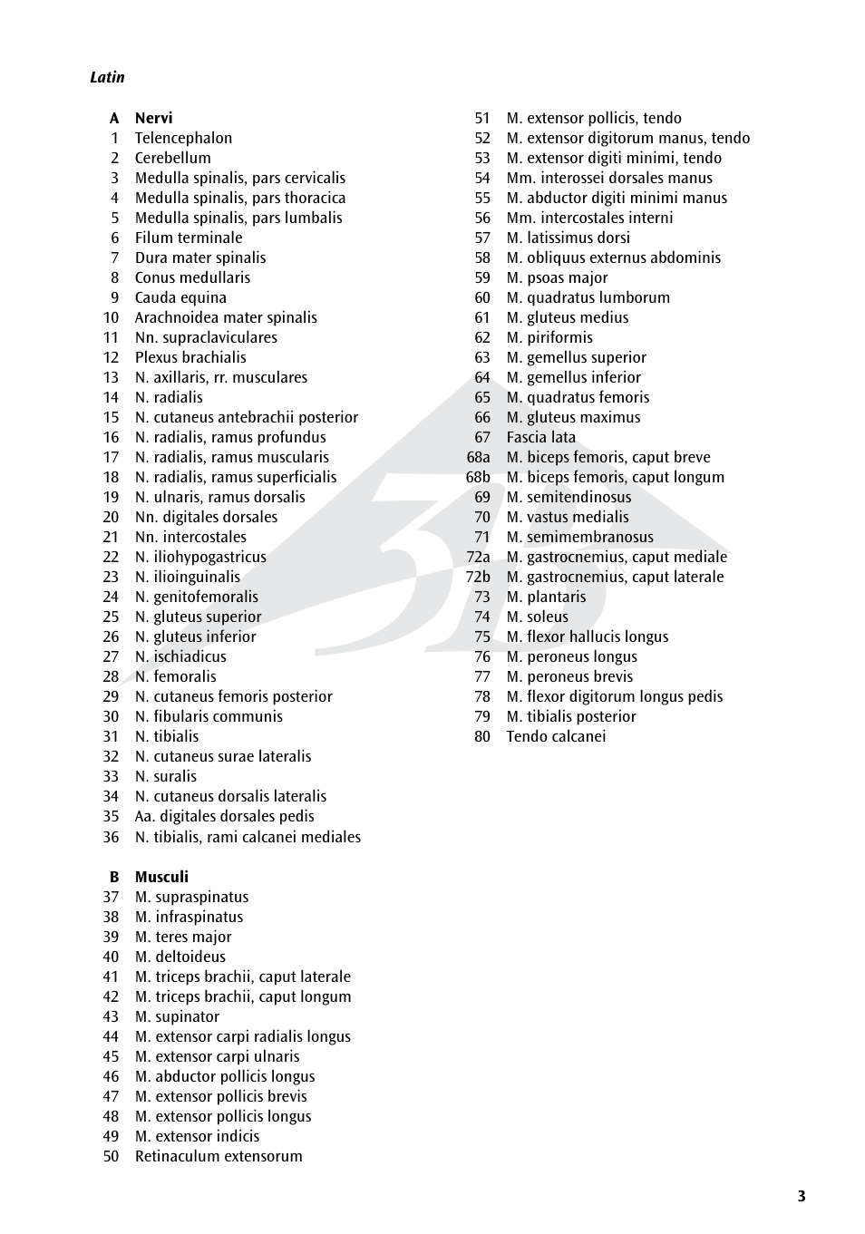 3B Scientific The Nervous System Chart, rear User Manual | Page 3 / 16