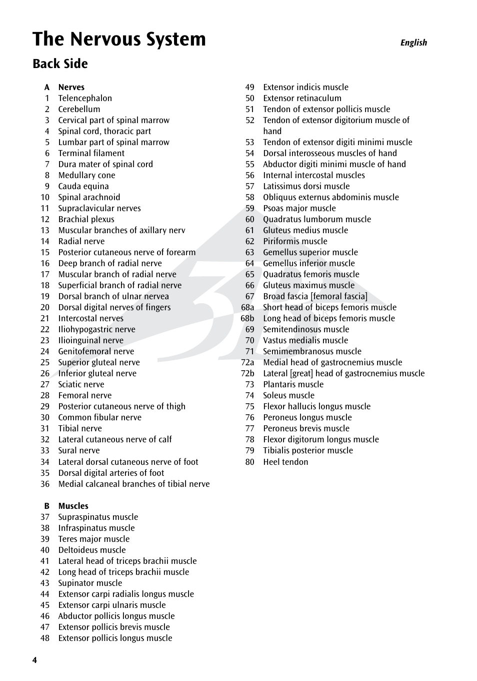 The nervous system, Back side | 3B Scientific The Nervous System Chart, rear User Manual | Page 4 / 16