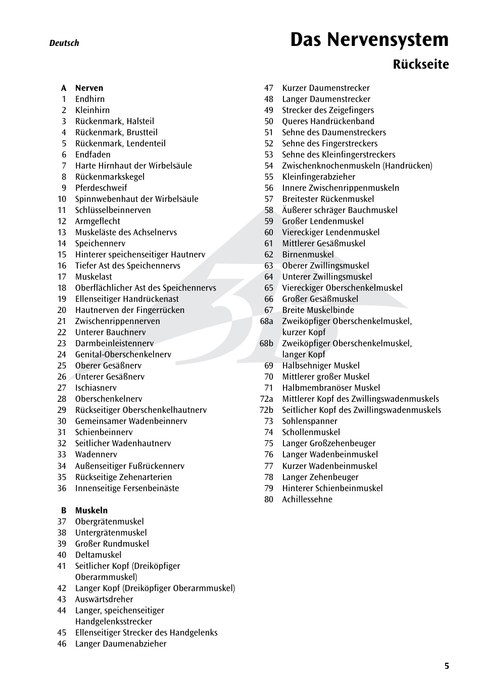 Das nervensystem, Rückseite | 3B Scientific The Nervous System Chart, rear User Manual | Page 5 / 16
