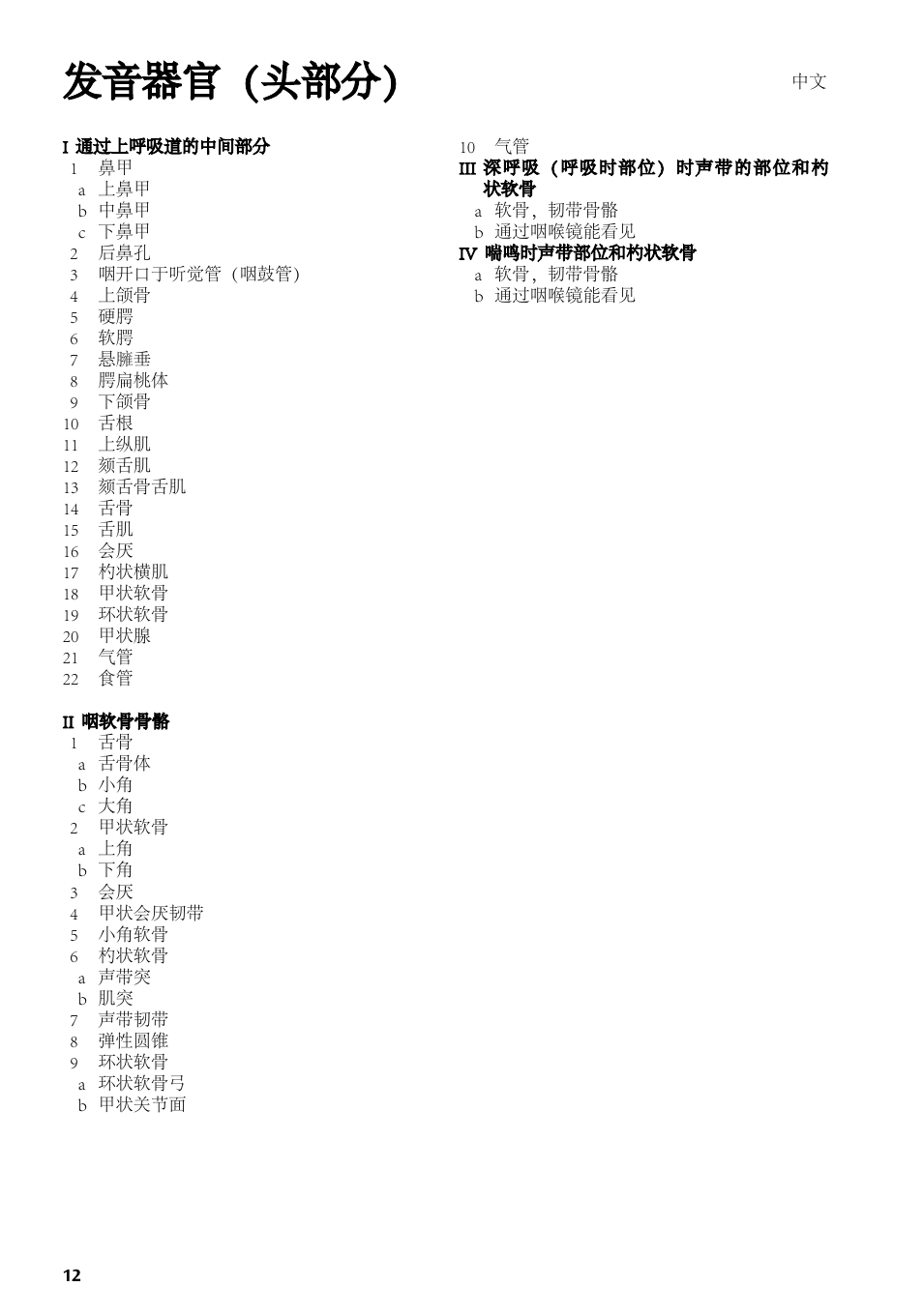 发音器官（头部分 | 3B Scientific Speech Organs Chart User Manual | Page 12 / 16