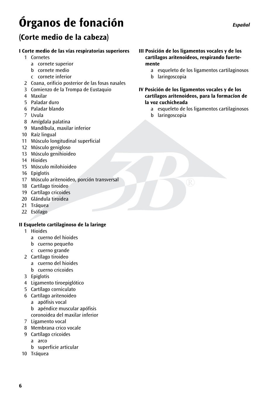 Name, Órganos de fonación, Corte medio de la cabeza) | 3B Scientific Speech Organs Chart User Manual | Page 6 / 16