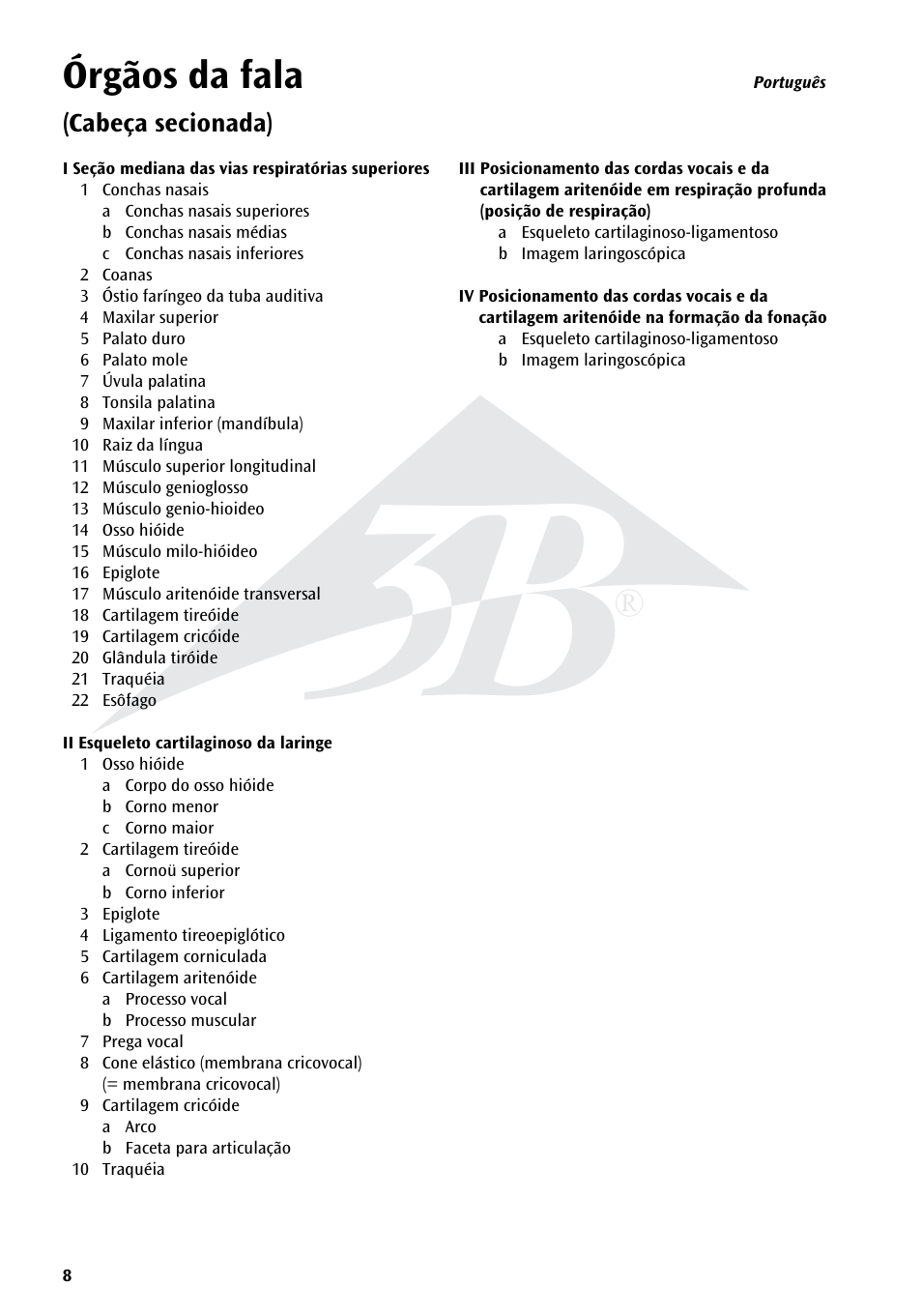 Órgãos da fala, Cabeça secionada) | 3B Scientific Speech Organs Chart User Manual | Page 8 / 16