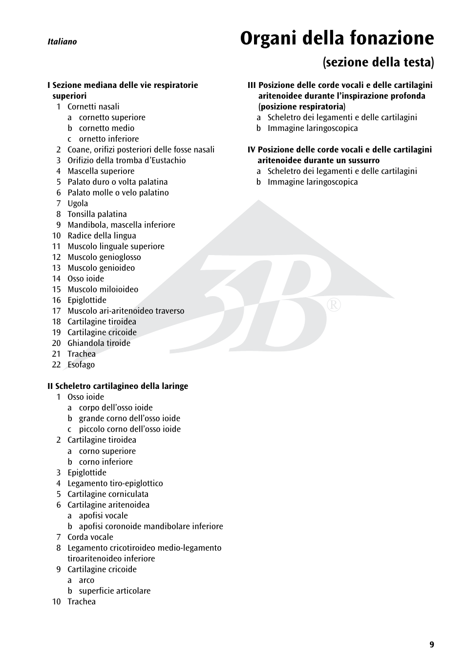 Organi della fonazione, Sezione della testa) | 3B Scientific Speech Organs Chart User Manual | Page 9 / 16