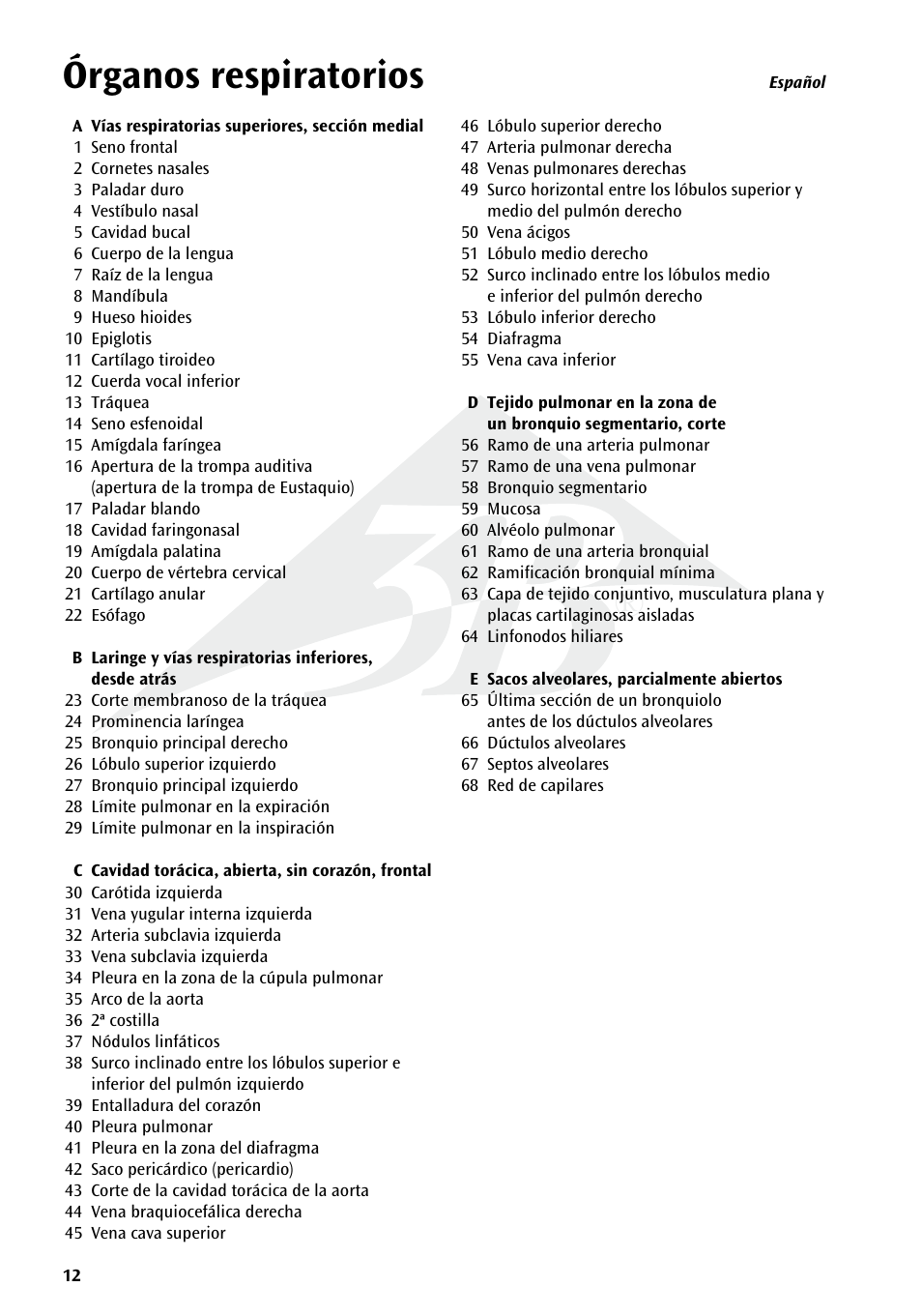 Órganos respiratorios | 3B Scientific Respiratory Organs Chart User Manual | Page 12 / 20
