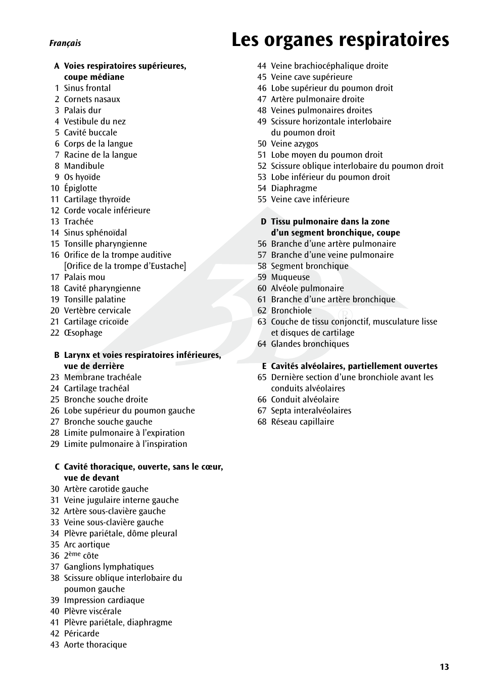 Les organes respiratoires | 3B Scientific Respiratory Organs Chart User Manual | Page 13 / 20