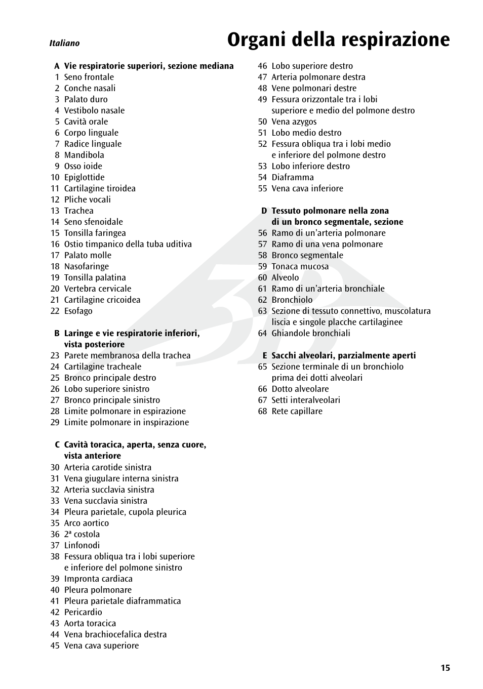 Organi della respirazione | 3B Scientific Respiratory Organs Chart User Manual | Page 15 / 20