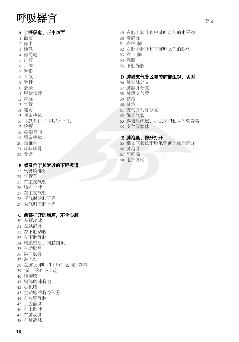 呼吸器官 | 3B Scientific Respiratory Organs Chart User Manual | Page 18 / 20