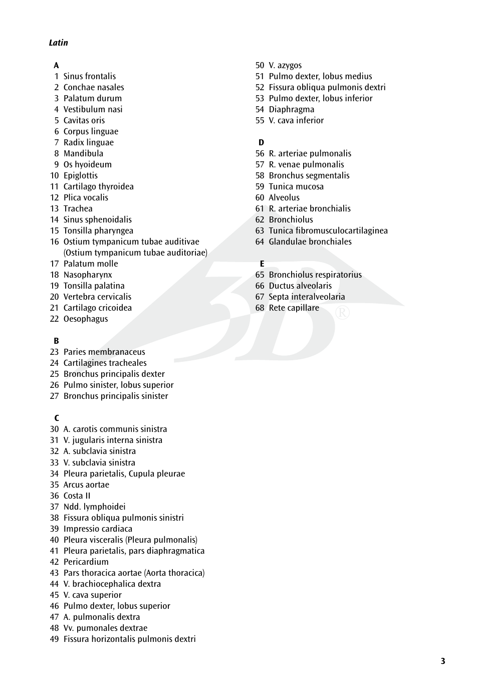 3B Scientific Respiratory Organs Chart User Manual | Page 3 / 20