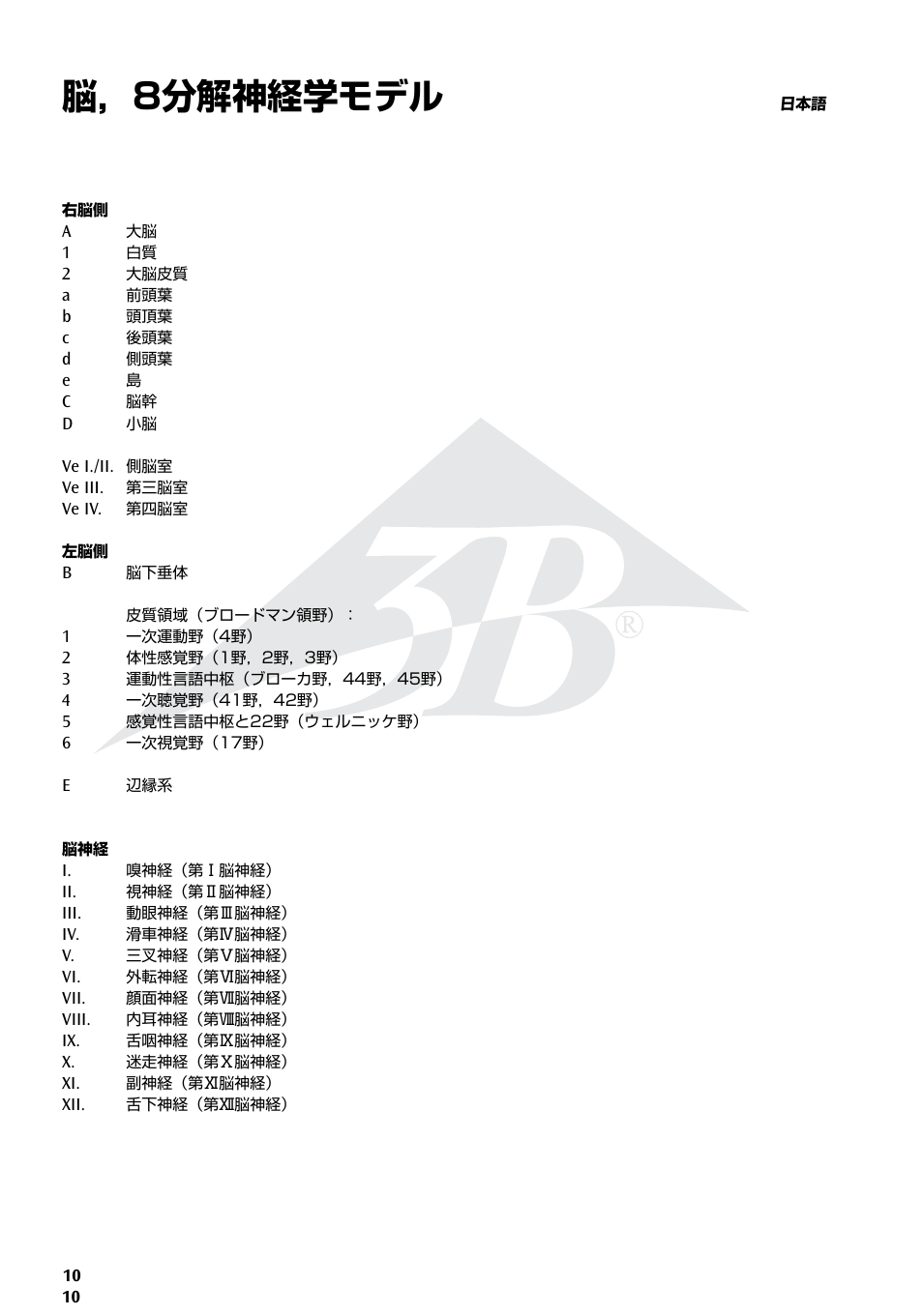 脳，8分解神経学モデル | 3B Scientific Neuro-Anatomical Brain, 8 part User Manual | Page 10 / 16