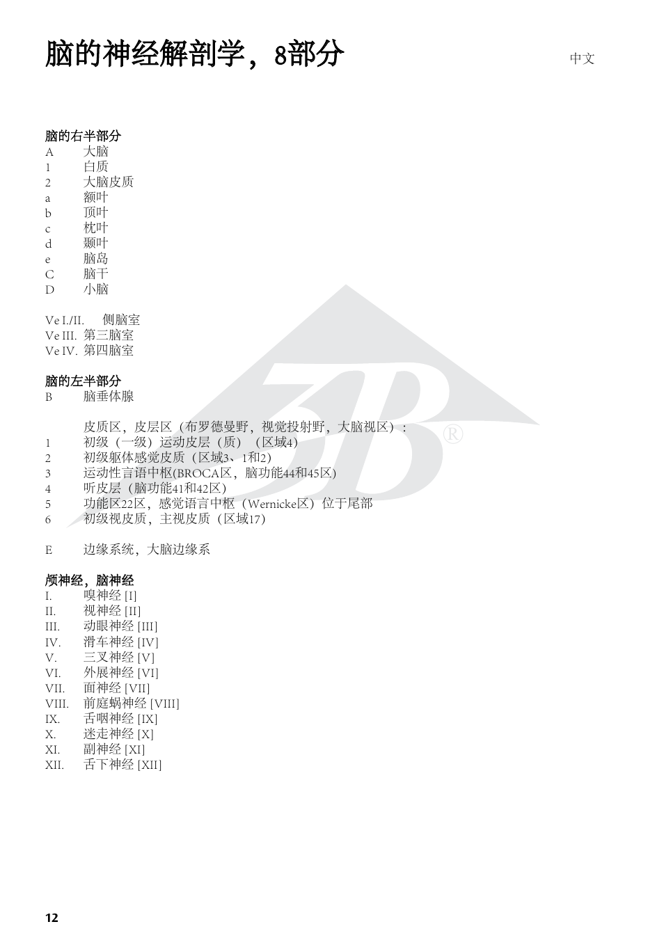 脑的神经解剖学，8部分 | 3B Scientific Neuro-Anatomical Brain, 8 part User Manual | Page 12 / 16