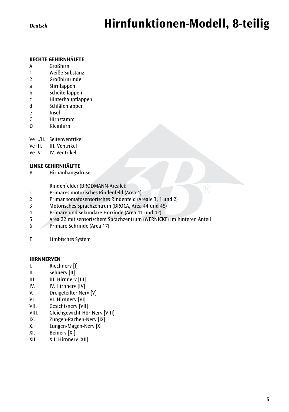 Hirnfunktionen-modell, 8-teilig | 3B Scientific Neuro-Anatomical Brain, 8 part User Manual | Page 5 / 16