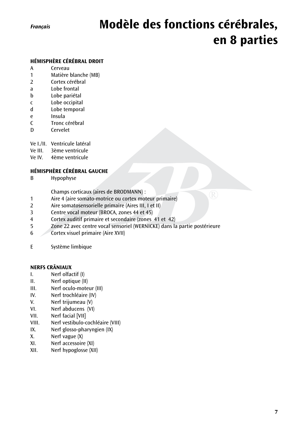 Modèle des fonctions cérébrales, en 8 parties | 3B Scientific Neuro-Anatomical Brain, 8 part User Manual | Page 7 / 16