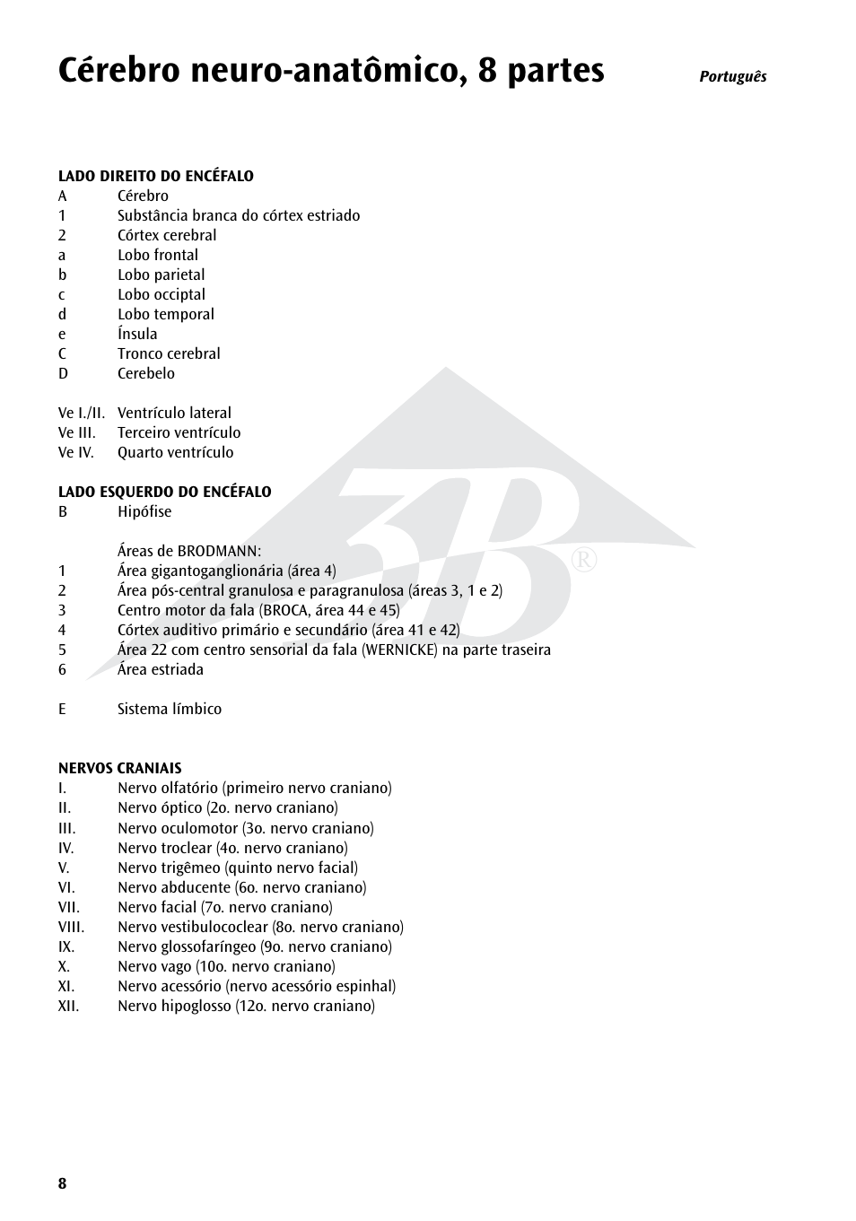 Cérebro neuro-anatômico, 8 partes | 3B Scientific Neuro-Anatomical Brain, 8 part User Manual | Page 8 / 16
