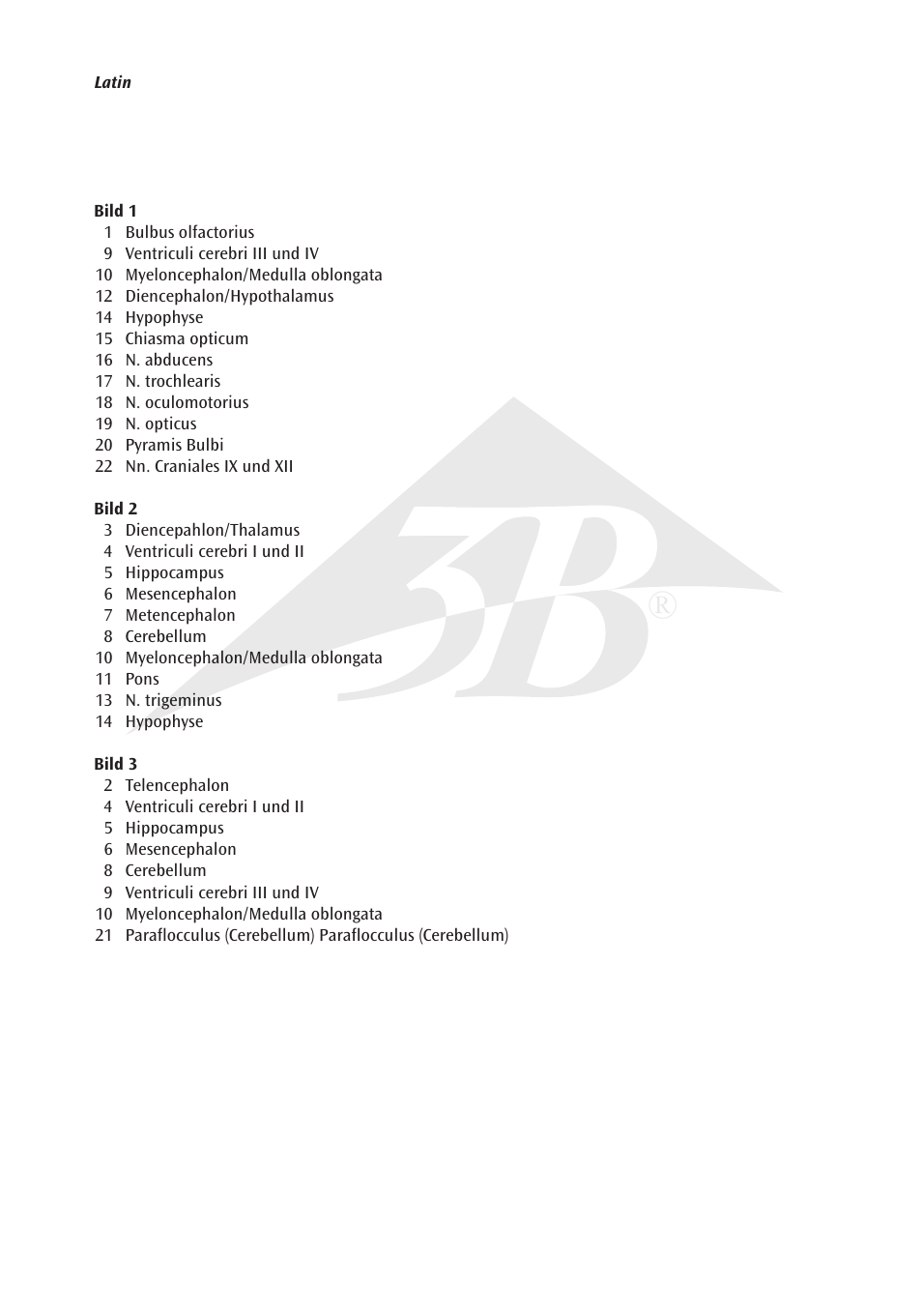 3B Scientific Rat Brain Comparative Anatomy User Manual | Page 3 / 14