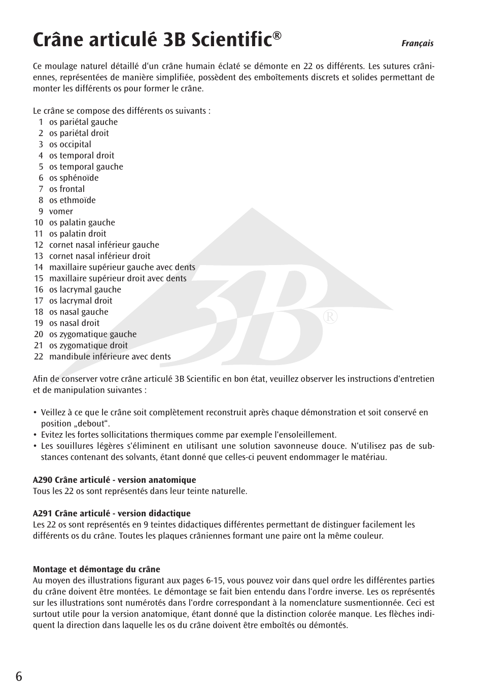 Crâne articulé 3b scientific | 3B Scientific Beauchene Adult Human Skull Model - Didactic Colored Version, 22 part User Manual | Page 6 / 20