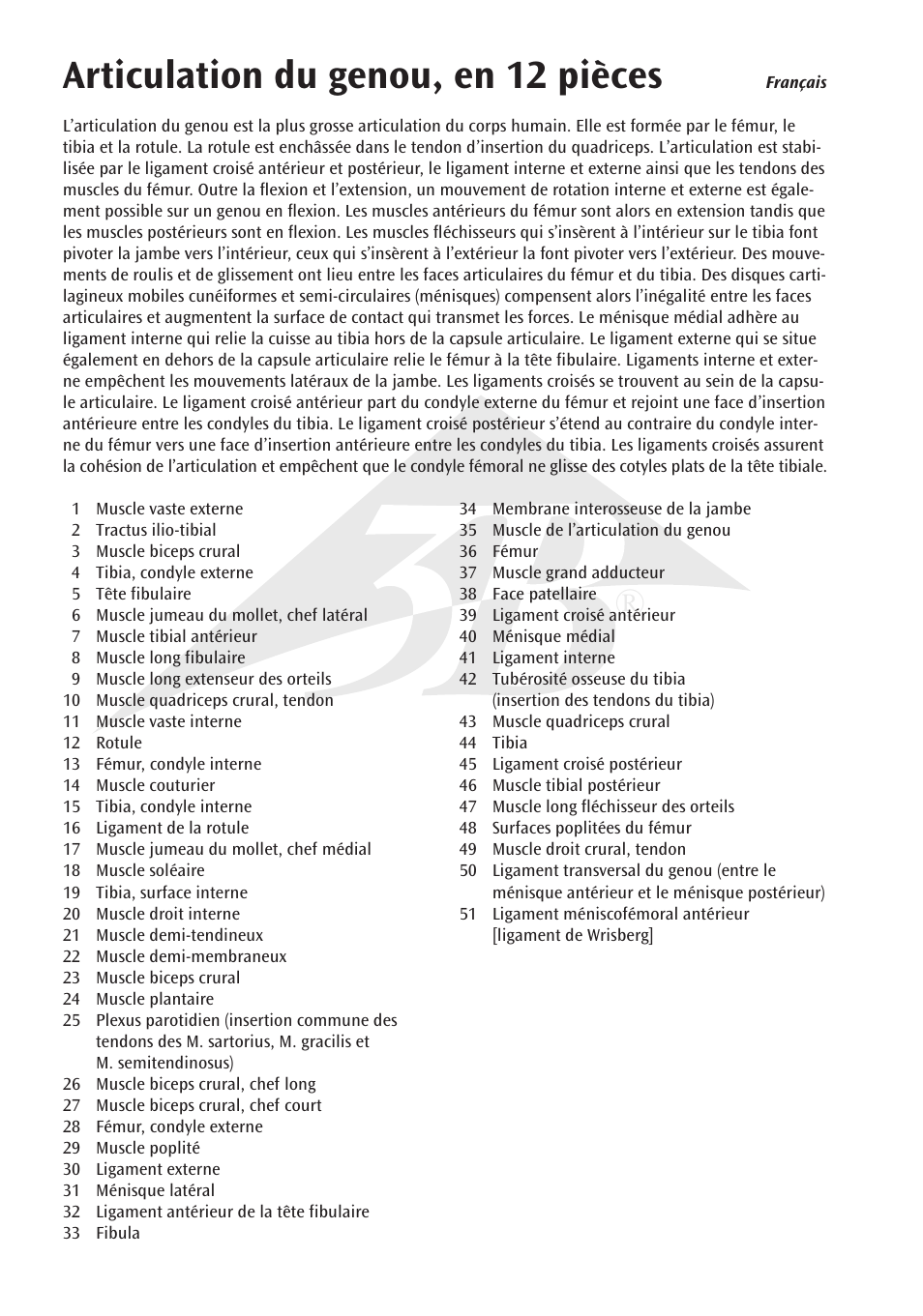 Articulation du genou, en 12 pièces | 3B Scientific Knee Joint with Removable Muscles, 12 part User Manual | Page 10 / 32