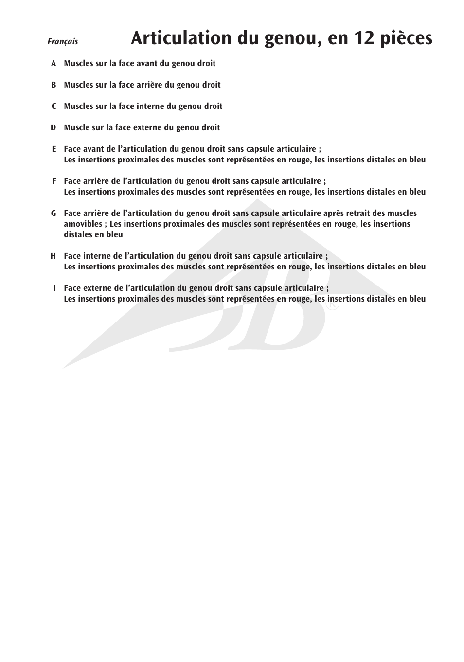 Articulation du genou, en 12 pièces | 3B Scientific Knee Joint with Removable Muscles, 12 part User Manual | Page 11 / 32