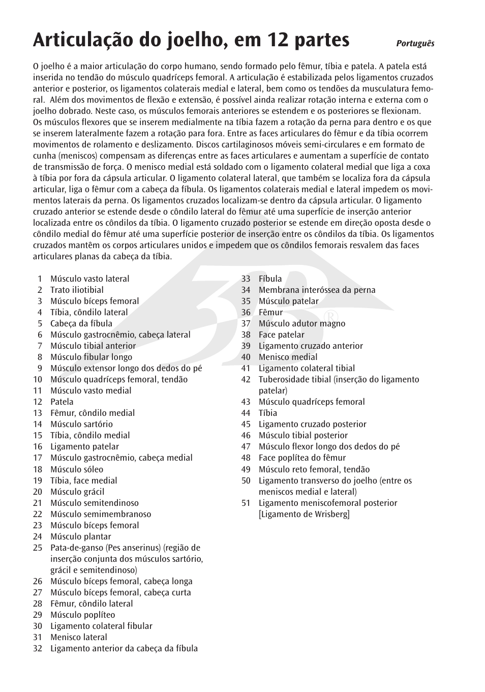 Articulação do joelho, em 12 partes | 3B Scientific Knee Joint with Removable Muscles, 12 part User Manual | Page 22 / 32