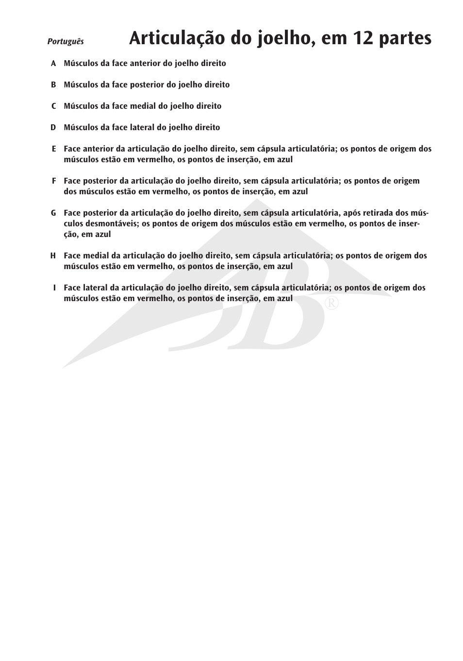 Articulação do joelho, em 12 partes | 3B Scientific Knee Joint with Removable Muscles, 12 part User Manual | Page 23 / 32