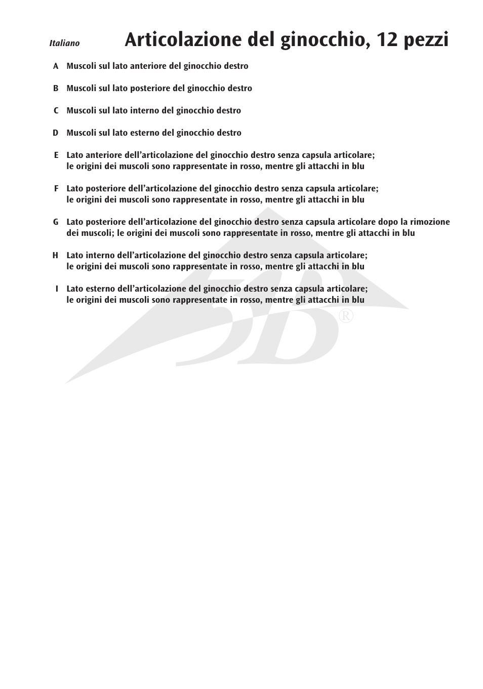 Articolazione del ginocchio, 12 pezzi | 3B Scientific Knee Joint with Removable Muscles, 12 part User Manual | Page 25 / 32