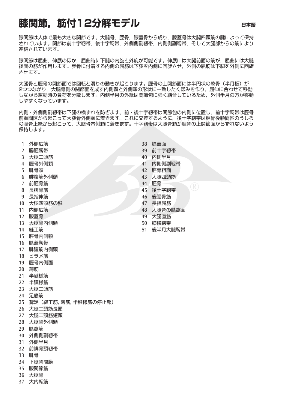膝関節，筋付12分解モデル | 3B Scientific Knee Joint with Removable Muscles, 12 part User Manual | Page 26 / 32