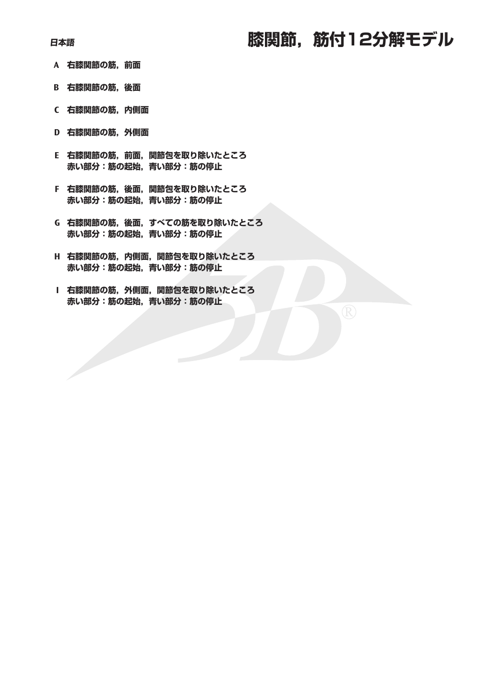 膝関節，筋付12分解モデル | 3B Scientific Knee Joint with Removable Muscles, 12 part User Manual | Page 27 / 32